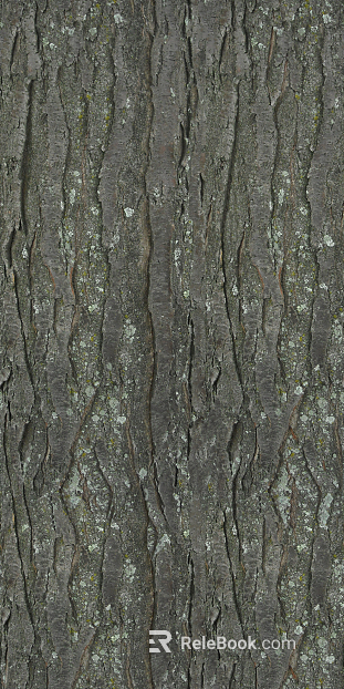 bark texture