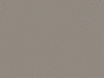 Light gray latex paint wall texture (ID:ffaeh733994)