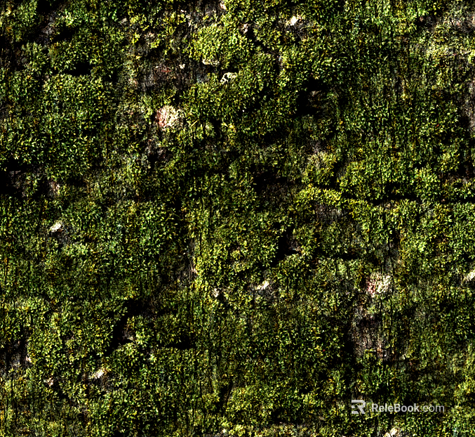 moss texture