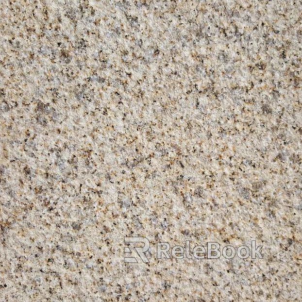 Granite Calamary Gold Litchi Surface Seamless texture