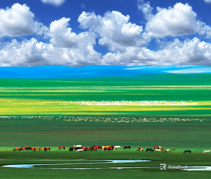 Wild Scenery texture