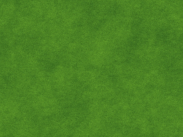 Turf texture (ID:ffadf1832)