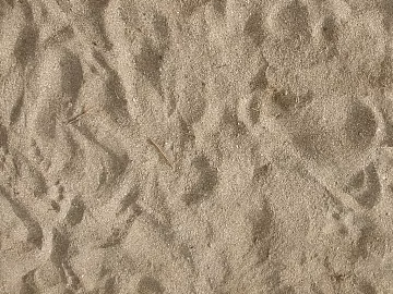 Sand texture (ID:ffach070146)