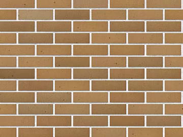 Wall Tile and Floor Tile texture (ID:ffach488791)