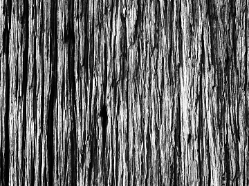 Black and White Bump texture (ID:ffacg79804)