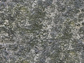 moss texture (ID:ffajg16348)