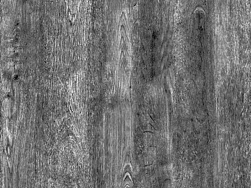 bark texture (ID:ffaeg77573)