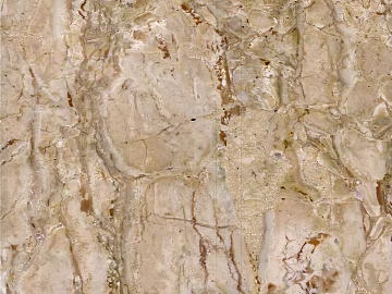 Golden Phoenix texture (ID:ffacf1565)