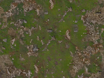 Turf Rock Grass Natural Ground texture (ID:ffach703314)