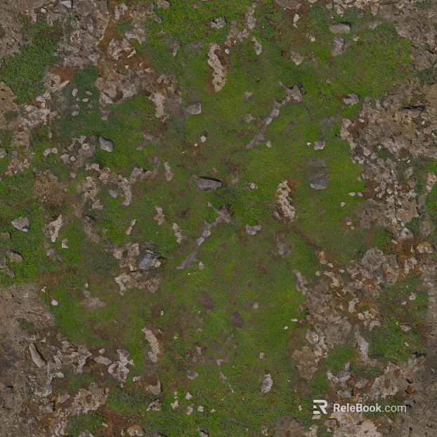 Turf Rock Grass Natural Ground texture