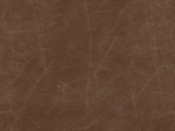 fine grain leather texture (ID:ffaeg10603)