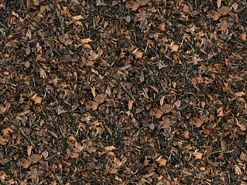 Turf ground texture (ID:ffaaf2461)