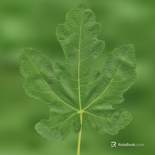 green leaf texture