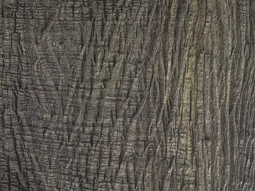 bark texture (ID:ffaag60522)