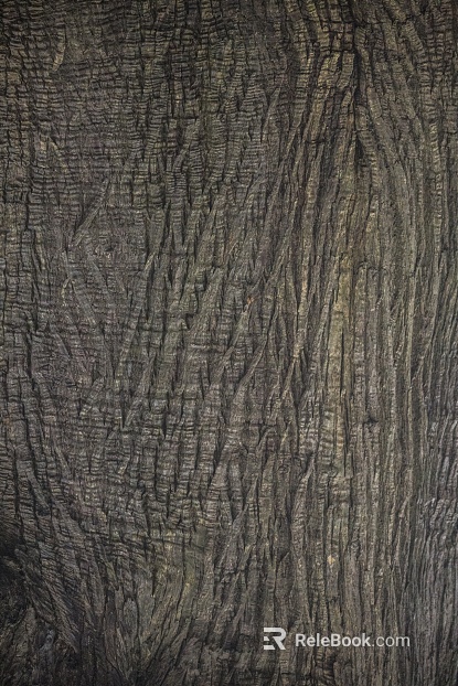 bark texture