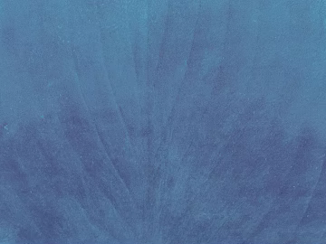 Petals texture (ID:ffadf0030)