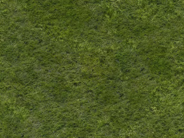 Turf 3d model