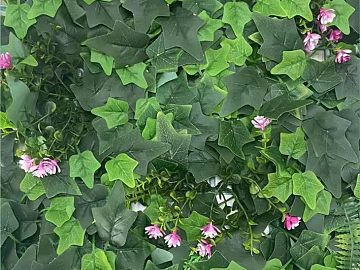 Plants texture (ID:ffaeg34779)
