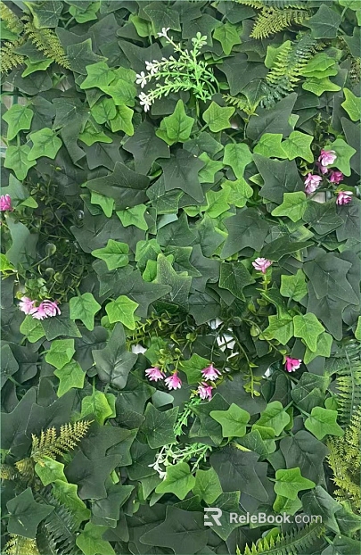 Plants texture