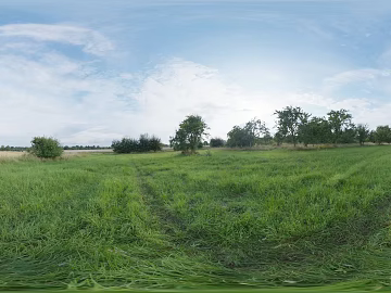 Grass Lawn Suburban HDR texture (ID:ffaeh858377)