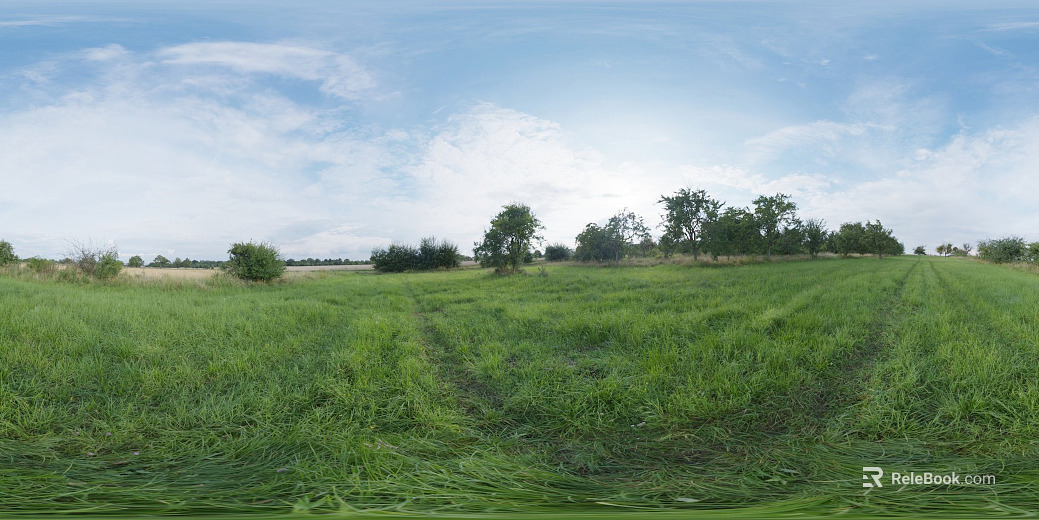 Grass Lawn Suburban HDR texture