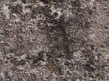 Culture Stone texture (ID:ffach400084)