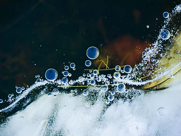 Wallpaper texture (ID:ffagg01798)