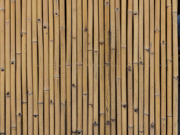 Bamboo texture (ID:ffaeg70101)