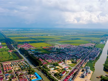 bird's eye view 3d model