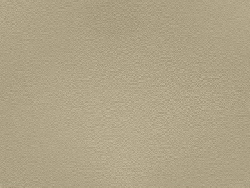 fine grain leather 3d model