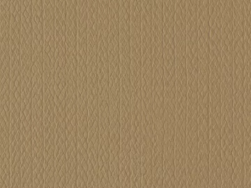 Leather 3d model