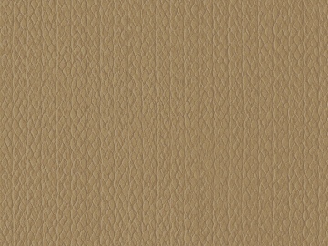 Leather texture (ID:ffhje631)