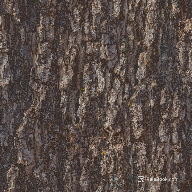 ancient tree bark texture