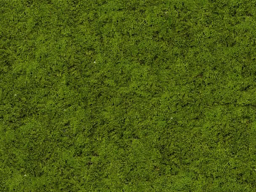 lawn moss ground texture (ID:ffach853241)