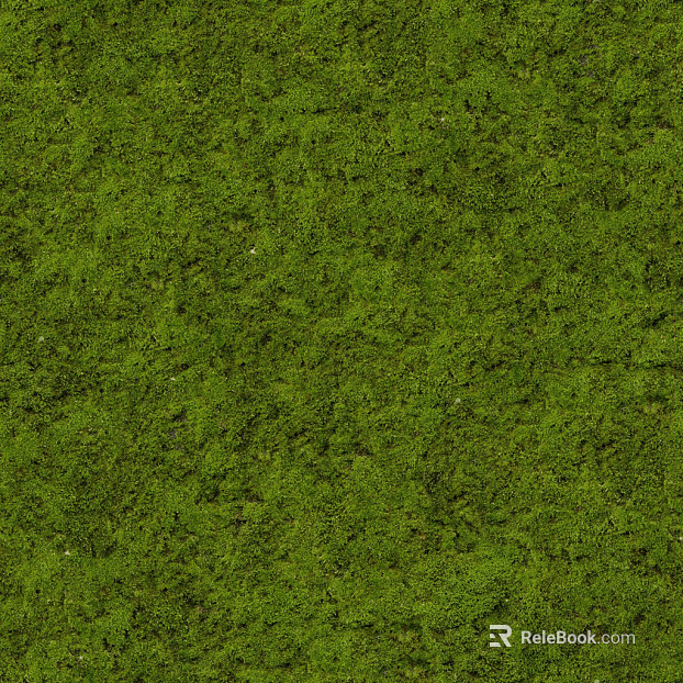 lawn moss ground texture