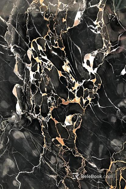 Black Golden Flower Marble texture
