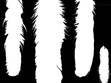 Black and white tree shadows texture (ID:ffaeh965766)