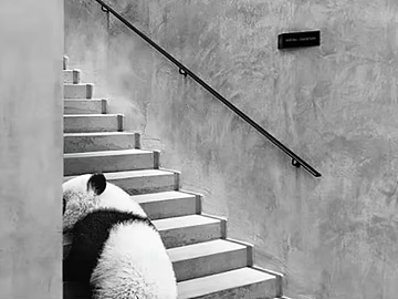 black and white painting 3d model