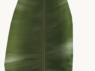 Green banana leaf natural plant map 3d model