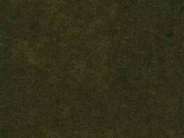Turf texture (ID:ffacg04599)