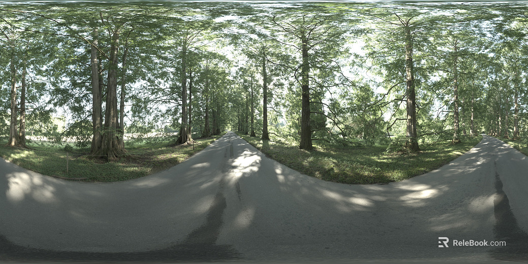 Forest Path texture