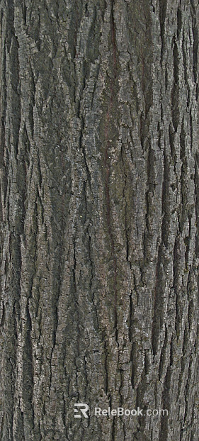 bark texture