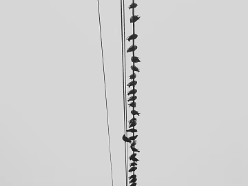 Animal painting texture (ID:ffajg86101)