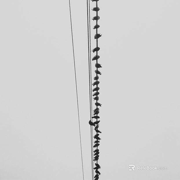 Animal painting texture