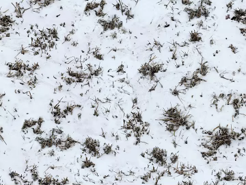 Ground-Snow texture (ID:ffaaf1058)