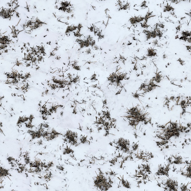Ground-Snow texture