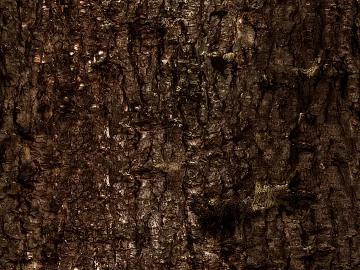 Dark brown bark, natural decorative finish texture (ID:ffaeh797132)
