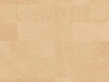 annual ring wood grain texture (ID:ffach555874)