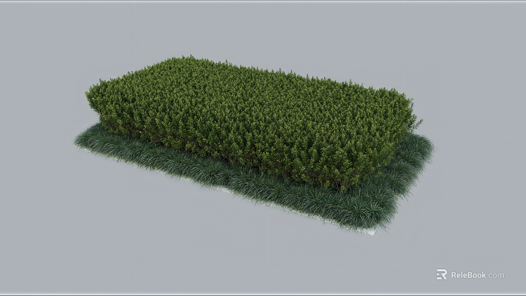 Green bush garden landscape texture