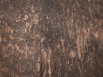old wood dark brown old wood texture (ID:ffabg02132)